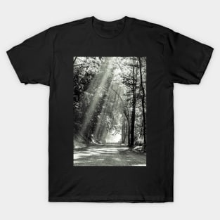 The Morning Sun T-Shirt